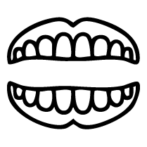 Bite Adjustment Planning
