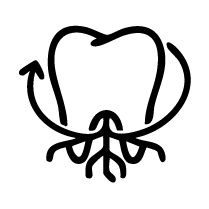 Long-Term Periodontal Stability