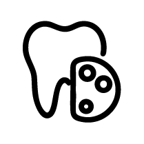 Natural Shade Matching